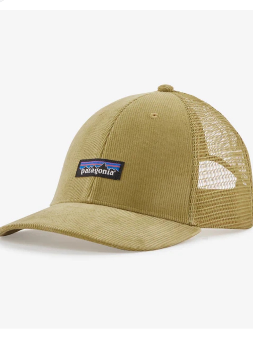Patagonia Corduroy Trucker Hat